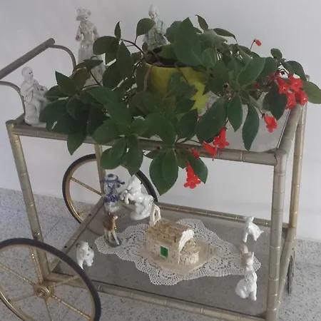 Vidovic Apartmán Vodice