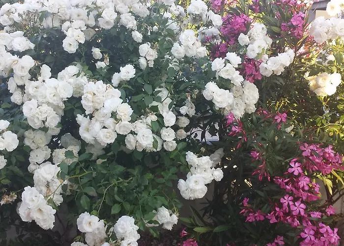 Appartement Vidovic *