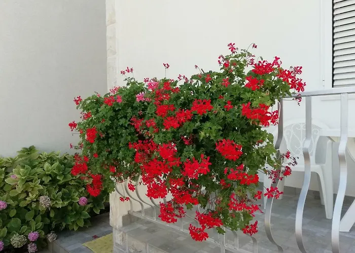 Vidovic Appartement Vodice